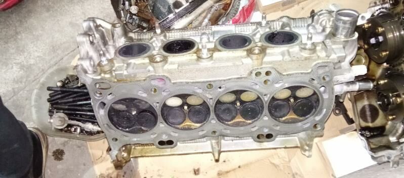 Galowka palta camry 1 700 TMT - Bedew - img 1