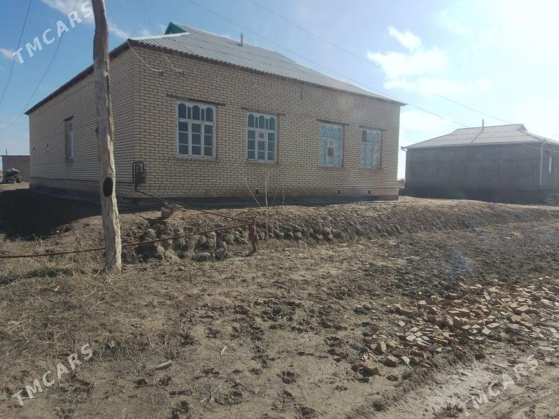 satlyk jay - Türkmengala - img 1