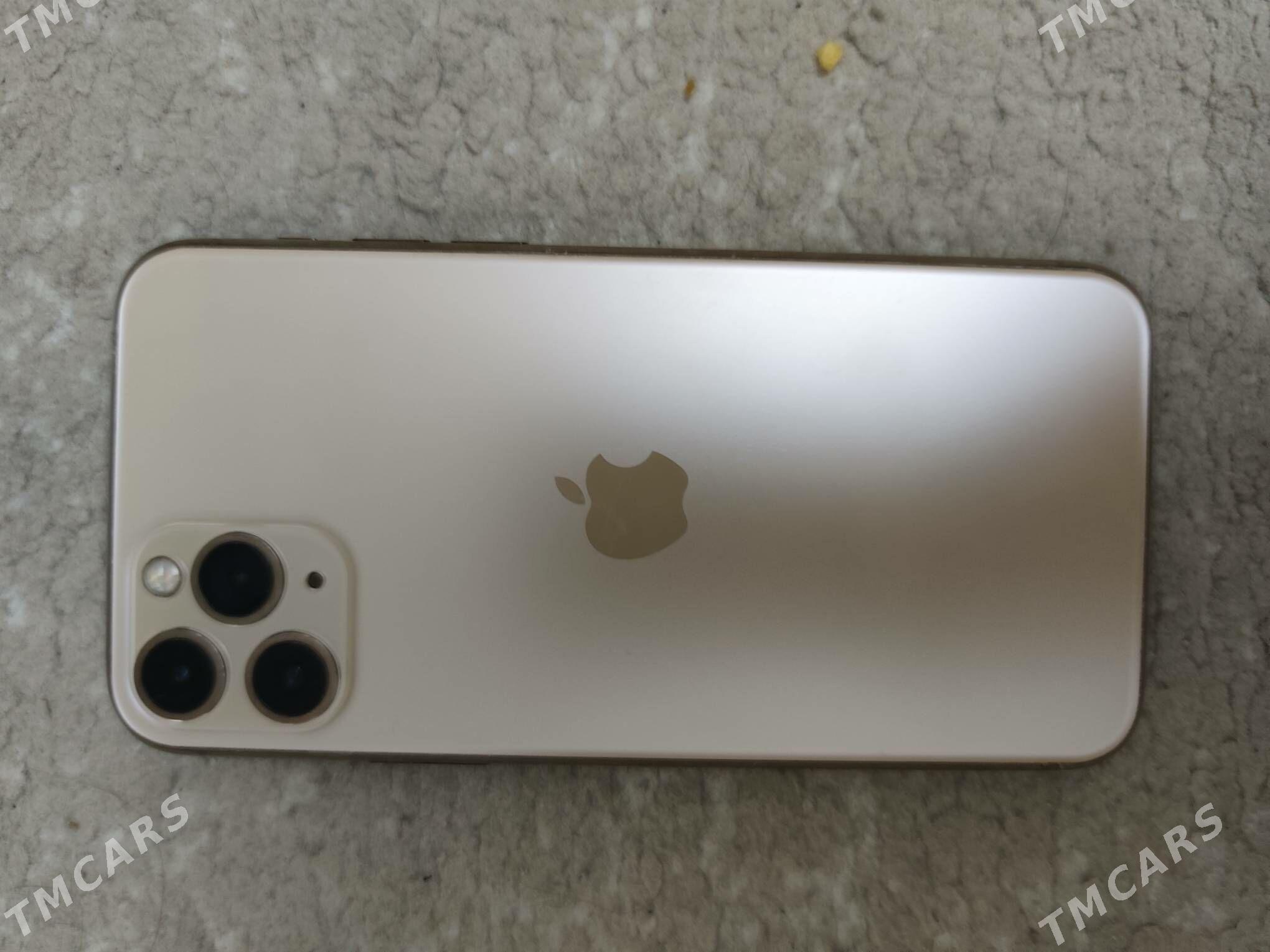 iPhone 11 pro - Гаудан "В" - img 1