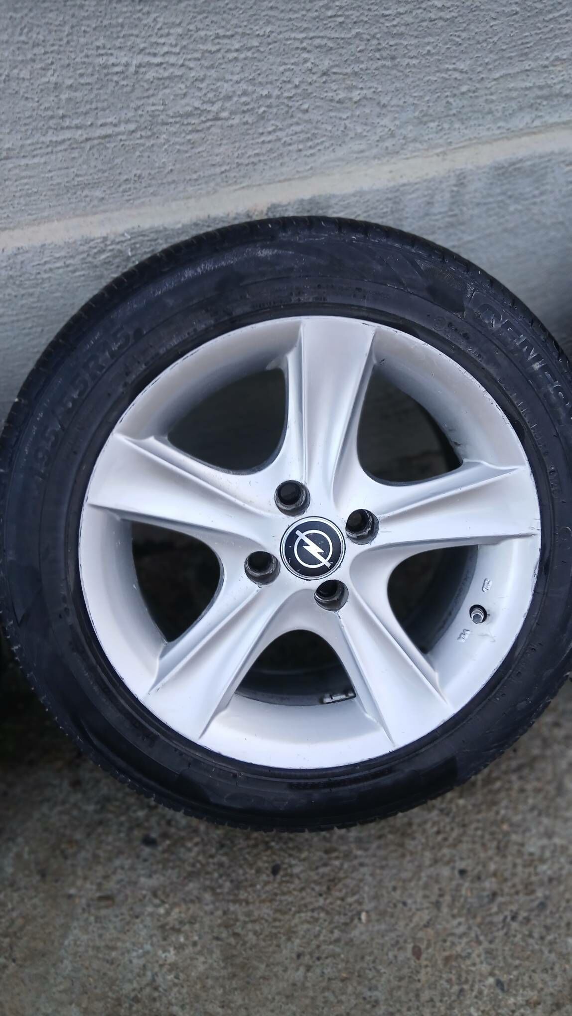 15lik mary taze💎 3 800 TMT - Чарджоу - img 1