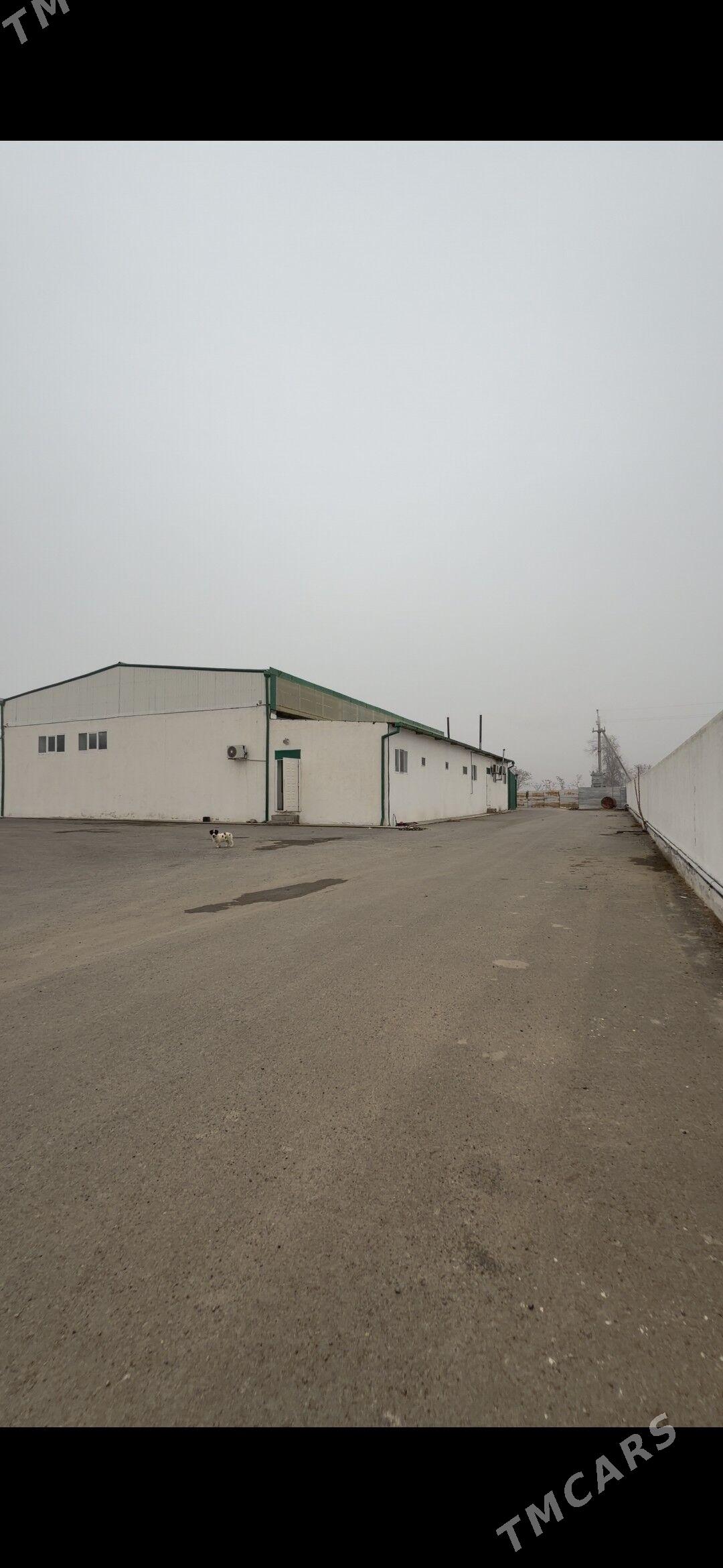 Änew zawod - Анев - img 1