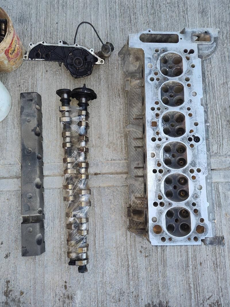 goly mator 2.5 1 vanus 5 000 TMT - Magtymguly - img 1