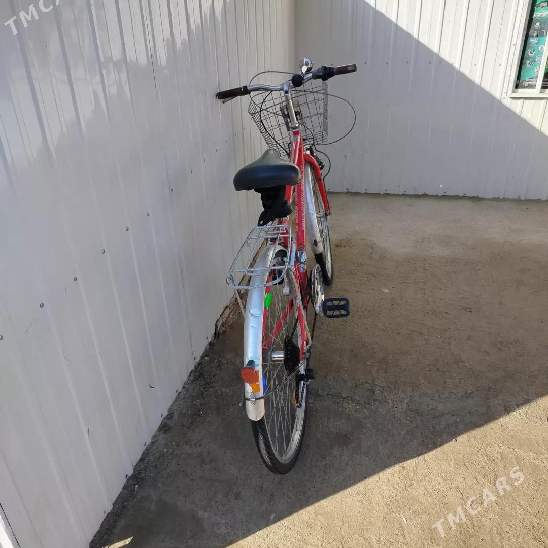 welsapet skorly - Mary - img 1