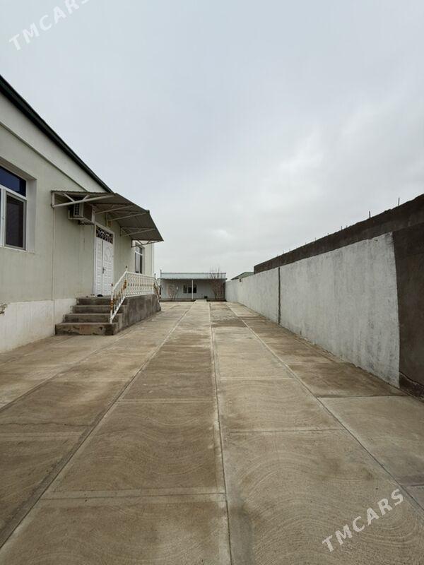 ÇOGANLY 6 SOTOK - Çoganly - img 1