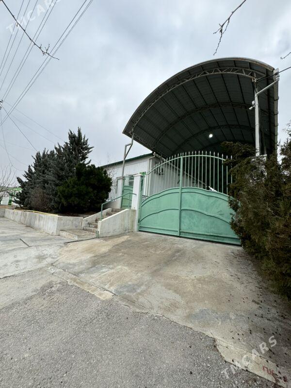 Anew jay - Änew - img 1