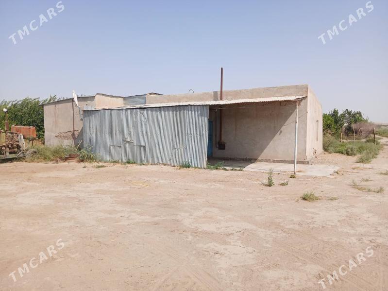 Yaşaýyş jaý - Farap - img 1