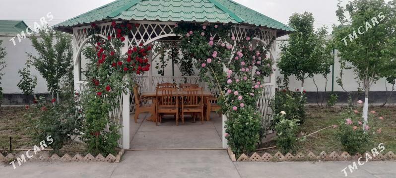 jaý - Sarahs - img 1