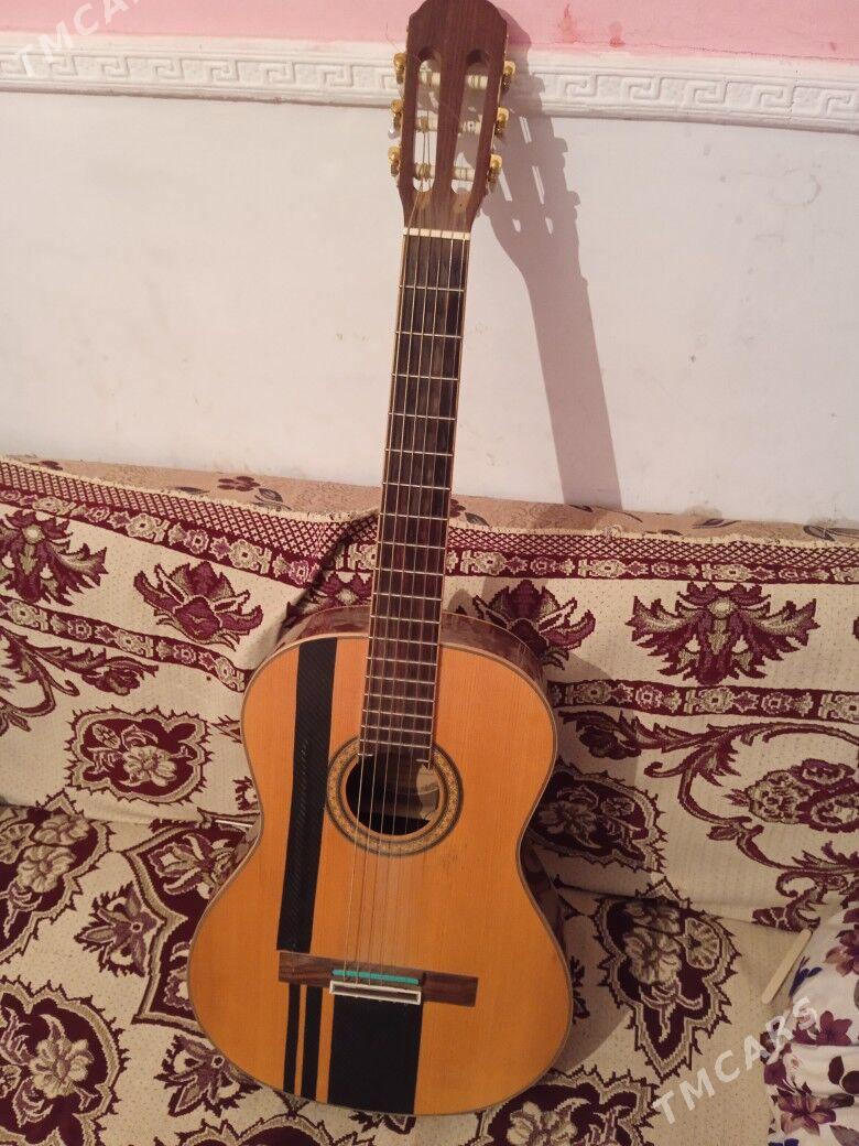 gitara focus - Теджен - img 1