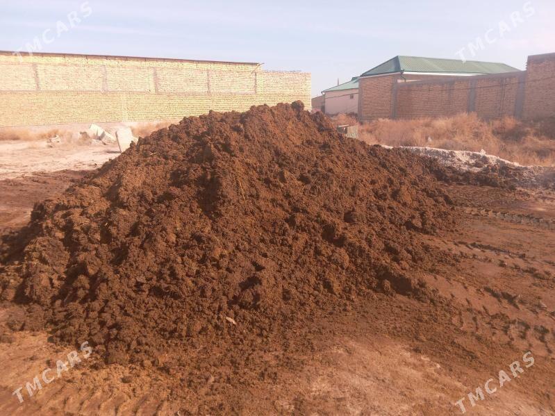 Ders - Туркменабат - img 1