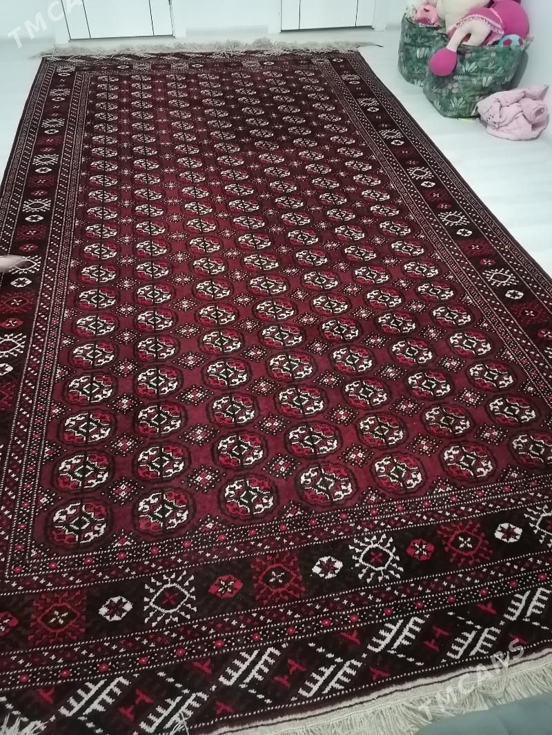 El haly - Бузмеин ГРЭС - img 1