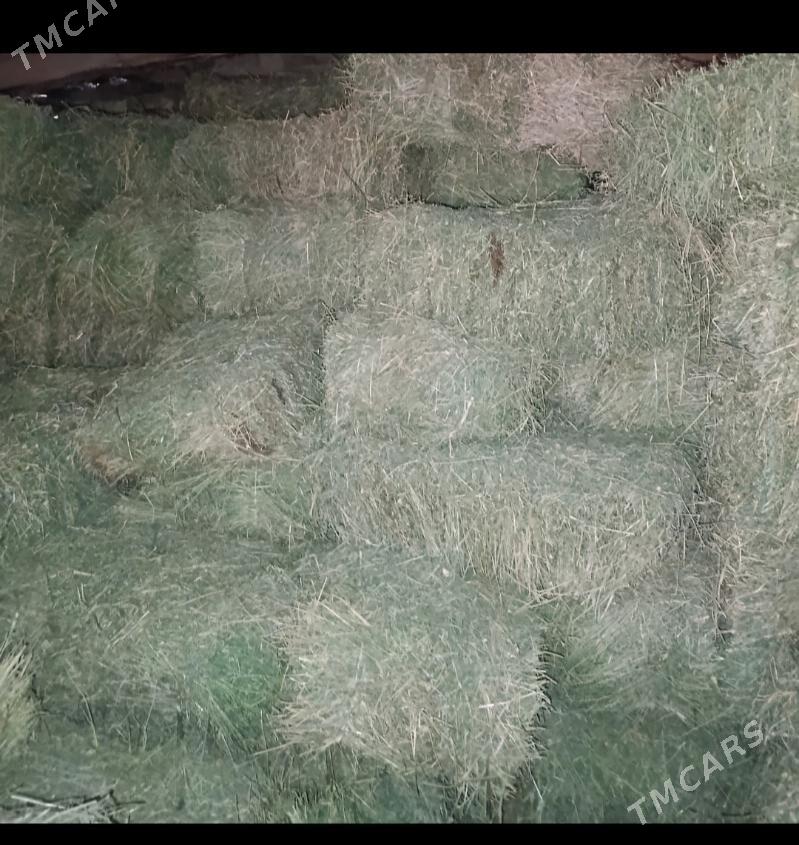 ÝORUNJA KIP - Мары - img 1