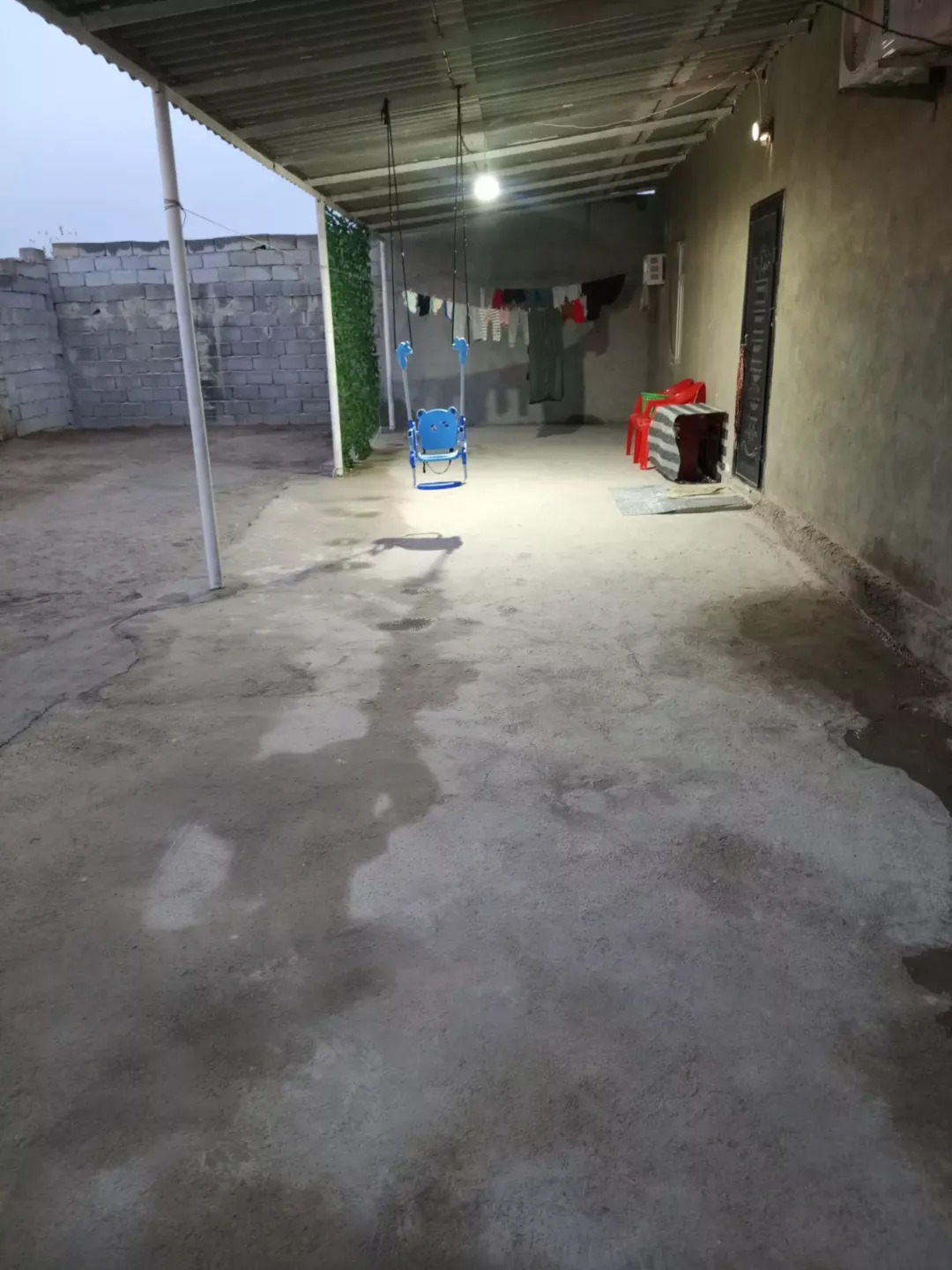 Satlyk jay - Büzmeýin - img 1