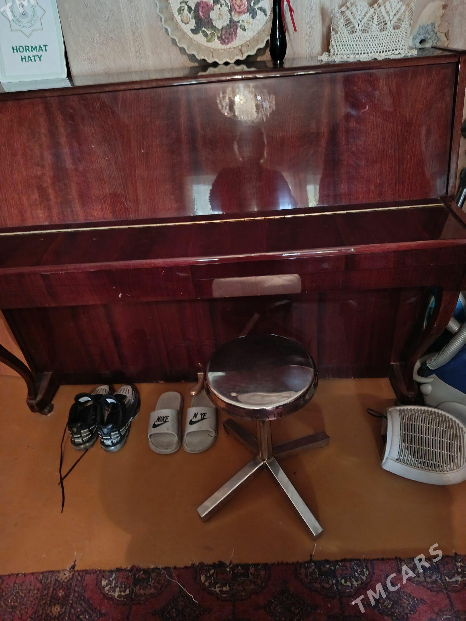 piyanina - Aşgabat - img 1