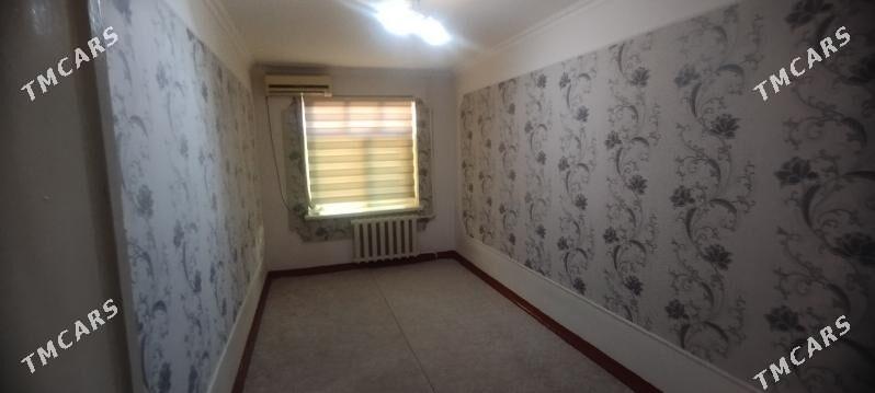 Satlyk jay - Mary - img 1