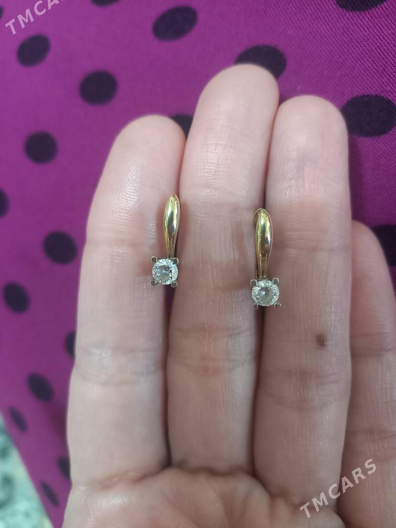 Gyzyl gulaksyrga - Köşi - img 1