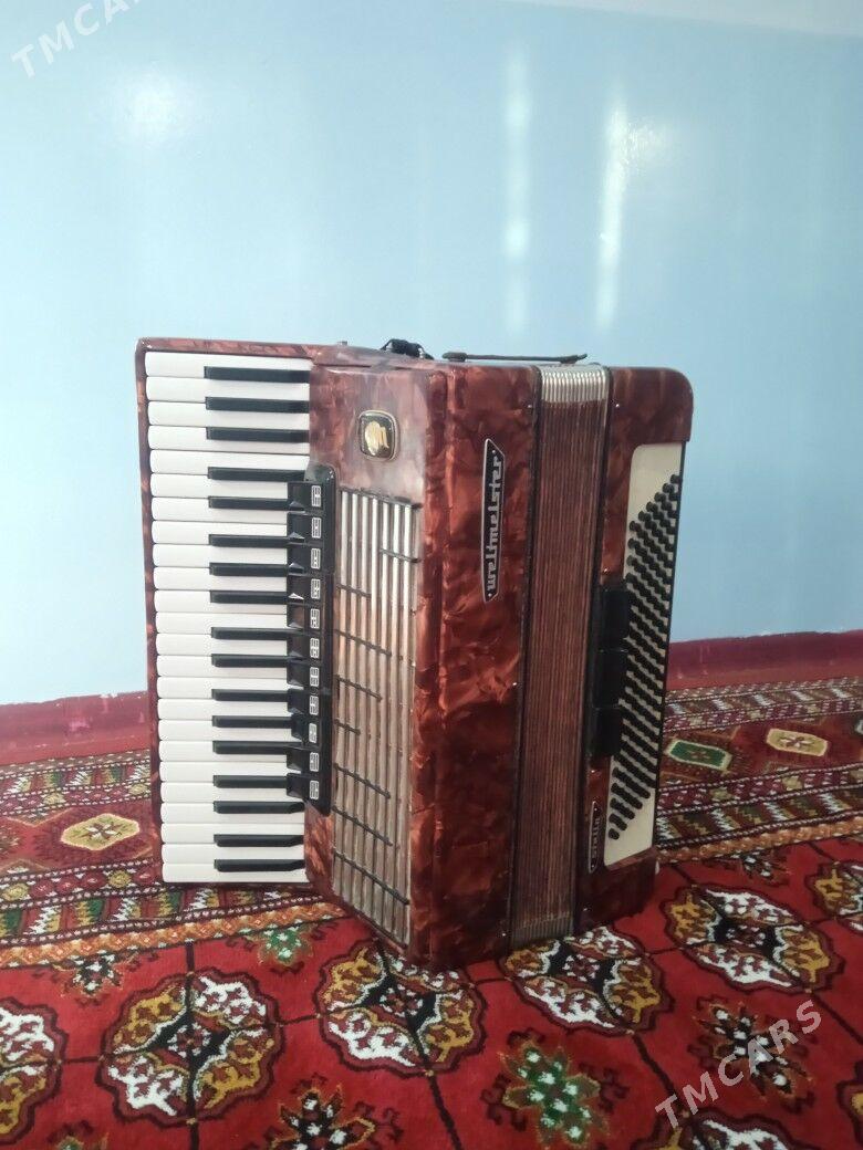 Akkardeyon akardeyon - Байрамали - img 1