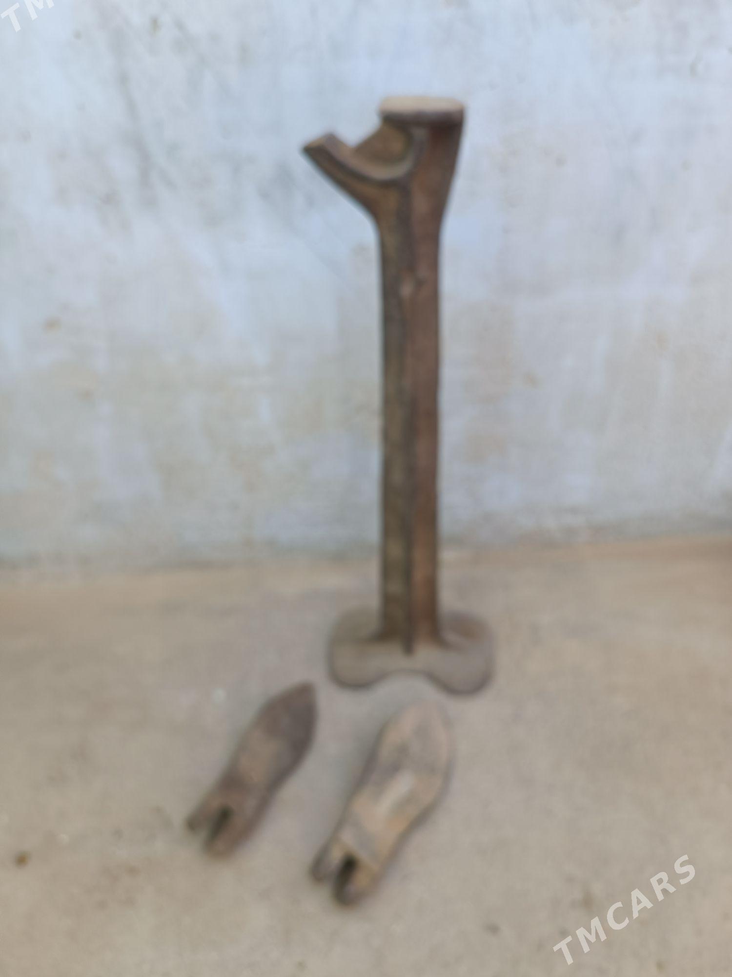 лапка сапожная - Aşgabat - img 1