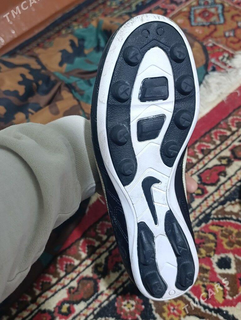 karsowka - Mary - img 1