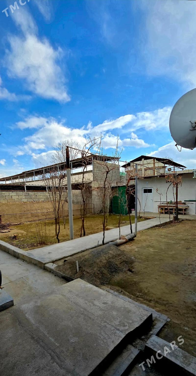 Anew plan jay - Änew - img 1