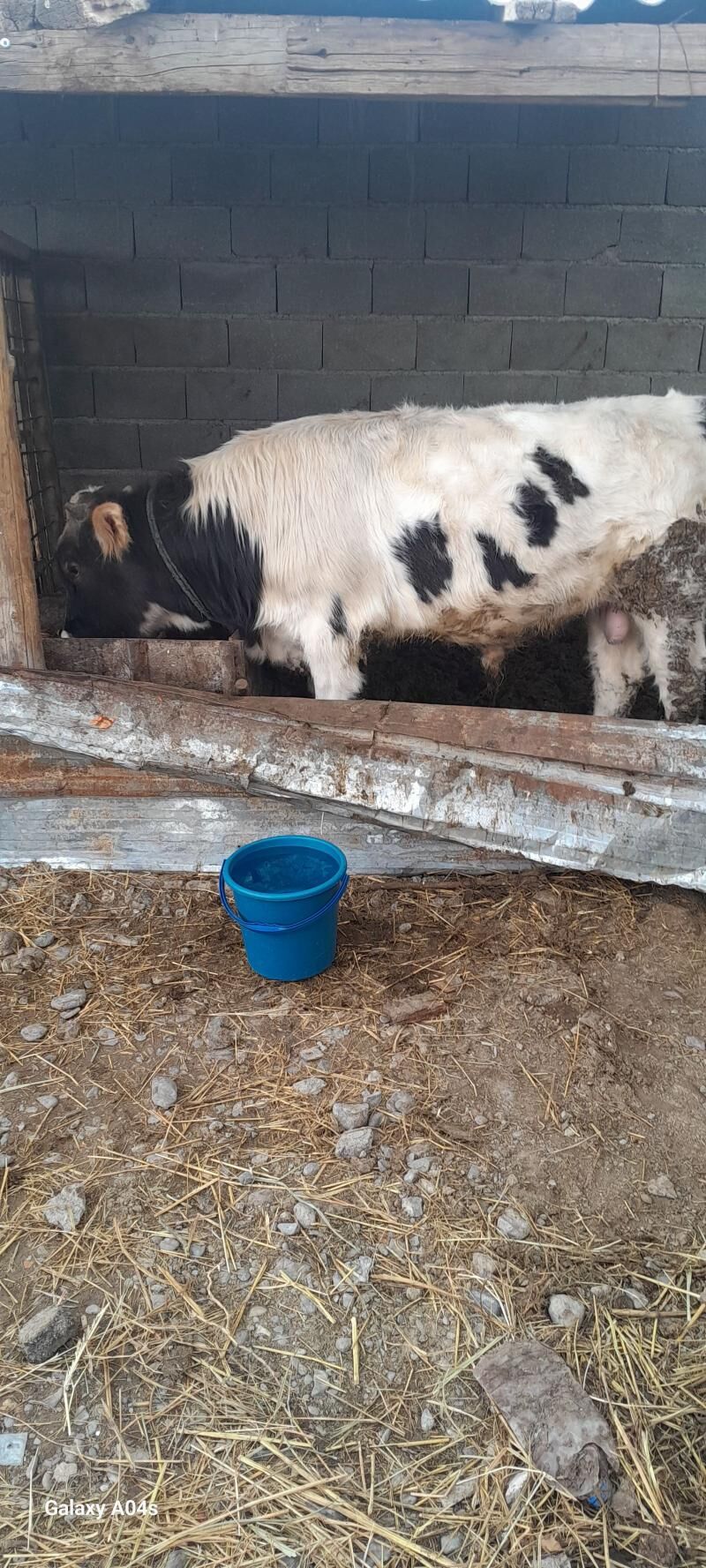 ōkŭz - Gökdepe - img 1