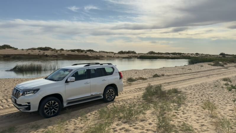 Prado kazerog 6stukly 2 000 TMT - Дашогуз - img 1