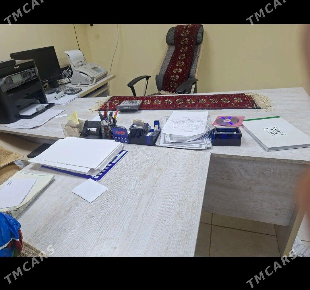 ofis un turkuňki - Gurtly - img 1