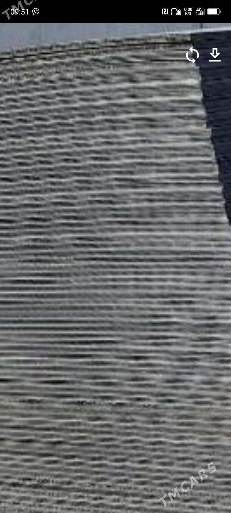 pilimut plasmas - Mary - img 1