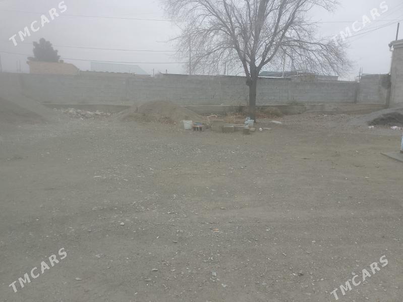 ýer jaý - Bäherden - img 1