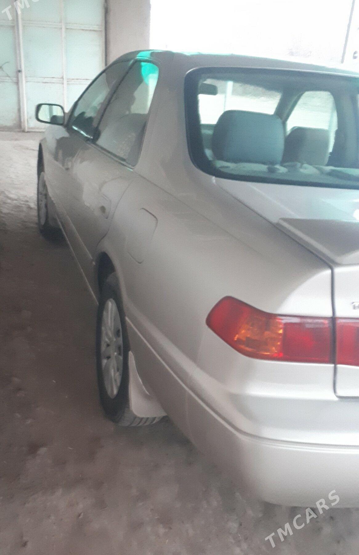 Toyota Camry 2000 - 160 000 TMT - Гурбансолтан Едже - img 1