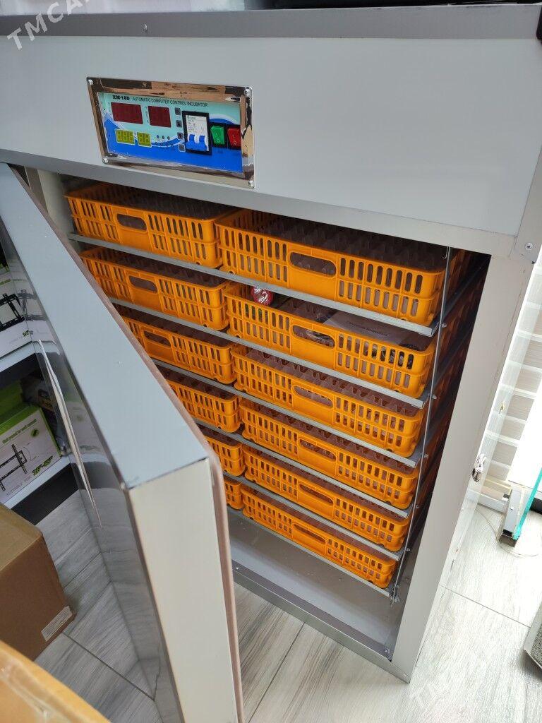 inkubator 1056x - Мары - img 1