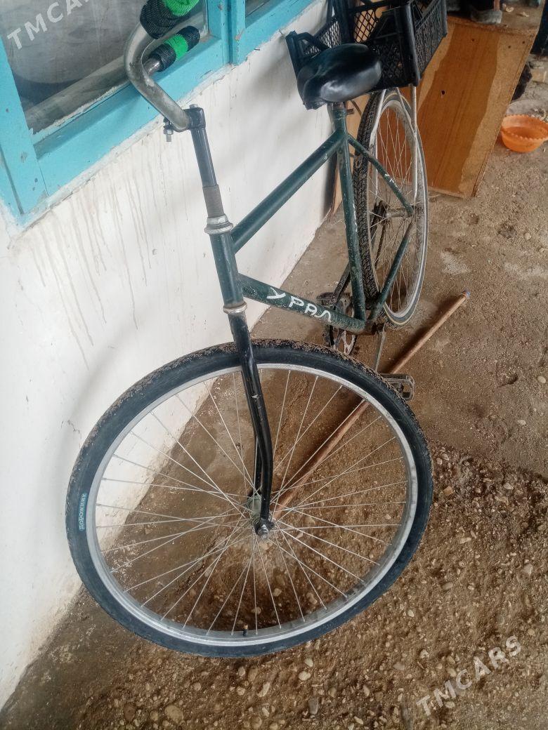 Ural velik 28lik - Gumdag - img 1