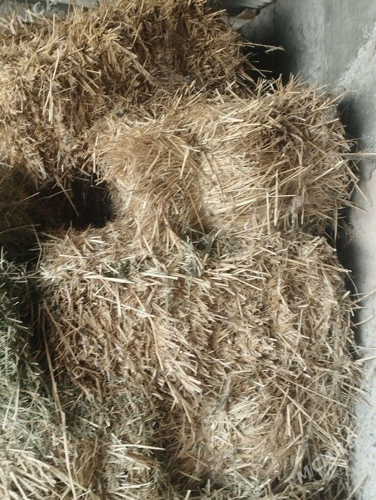 SAMAN. - Ýaşlyk - img 1