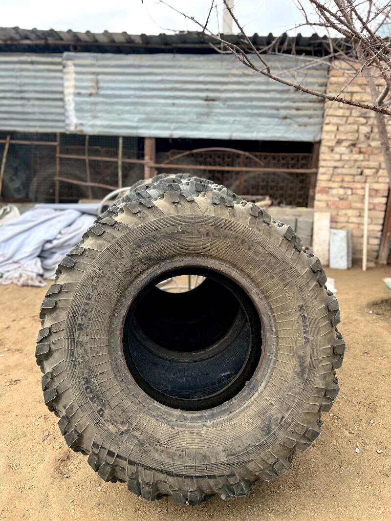 Wedusy kamaz 1 300 TMT - Ашхабад - img 1