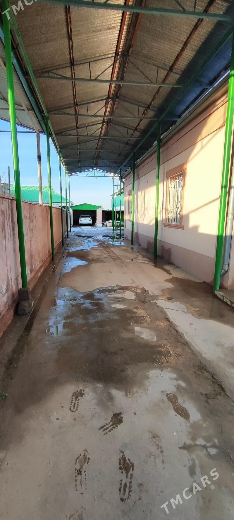 Satlyk Anew plan - Анев - img 1