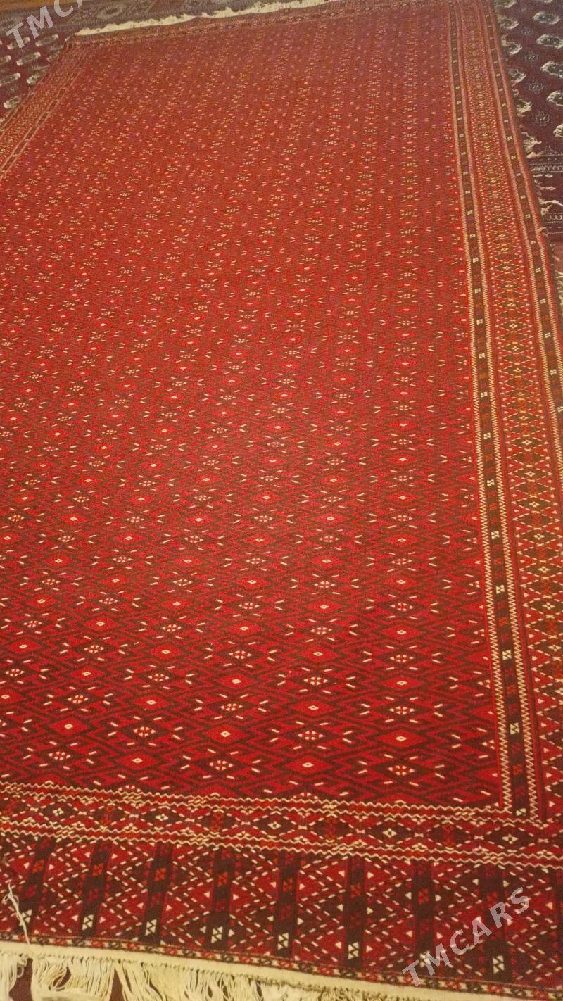 Palas - Balkanabat - img 1