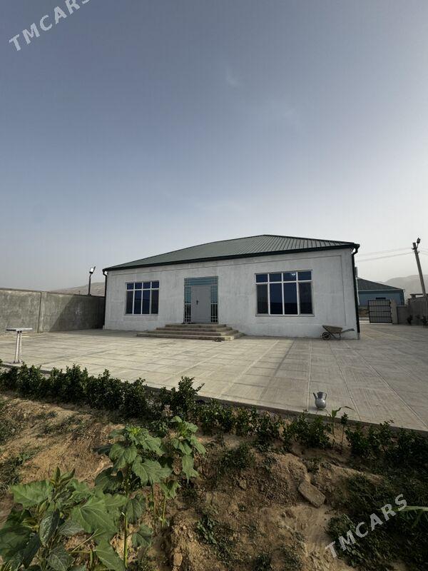 Bereket zaman - Änew - img 1