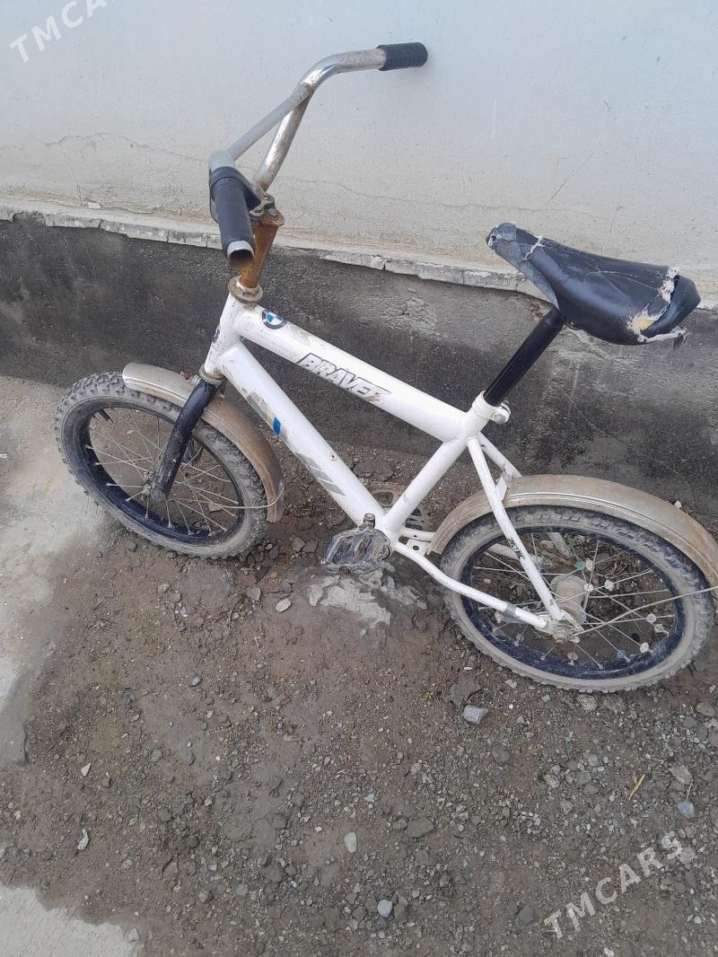 kici tigir 16lyk - Gökdepe - img 1