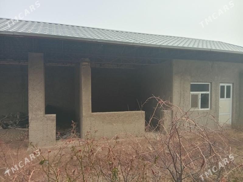 байрамалы шахер б - Baýramaly - img 1