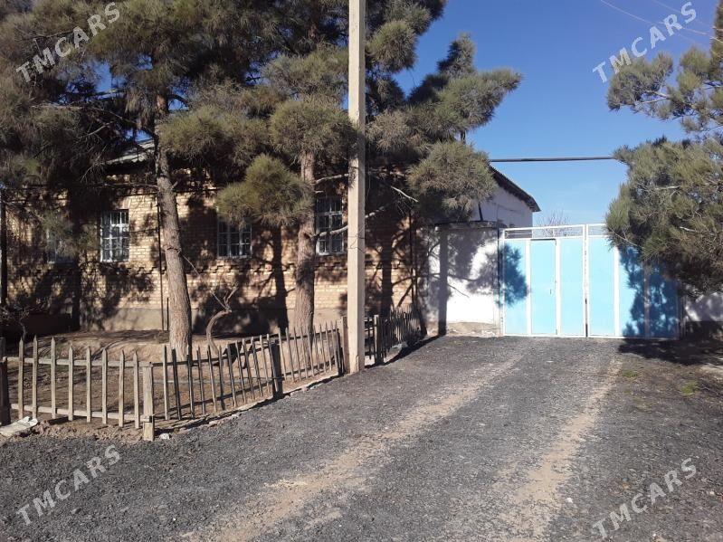 Tejen saheri satlyk jay. - Tejen - img 1