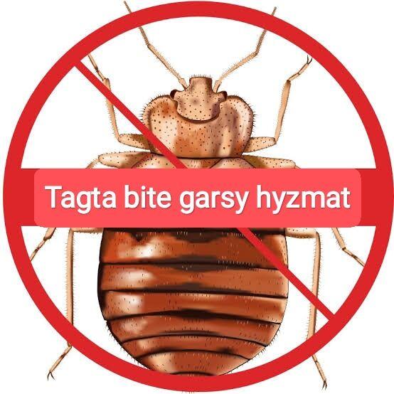 TAGTA BITE derman - Ашхабад - img 1