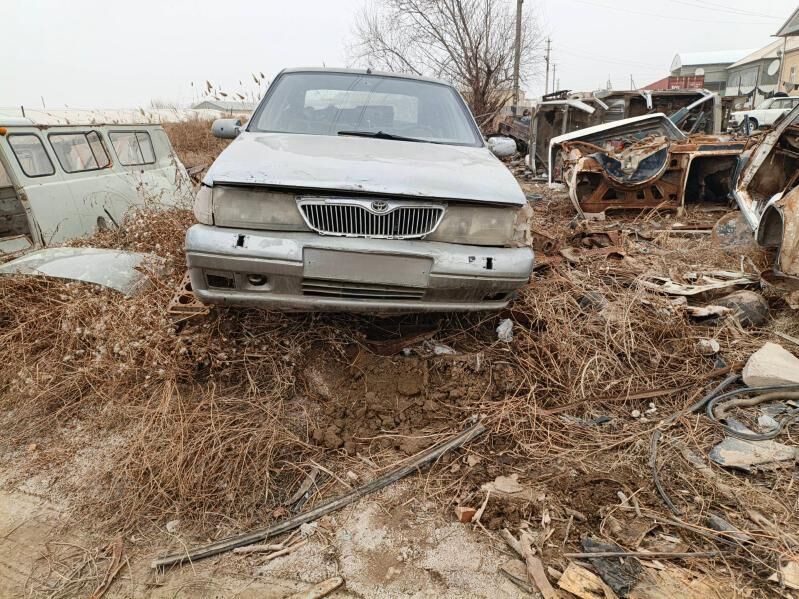 kuzyk fiýat 6 000 TMT - Mary - img 1