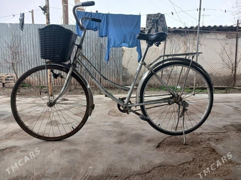 tigir 26 - Мары - img 1