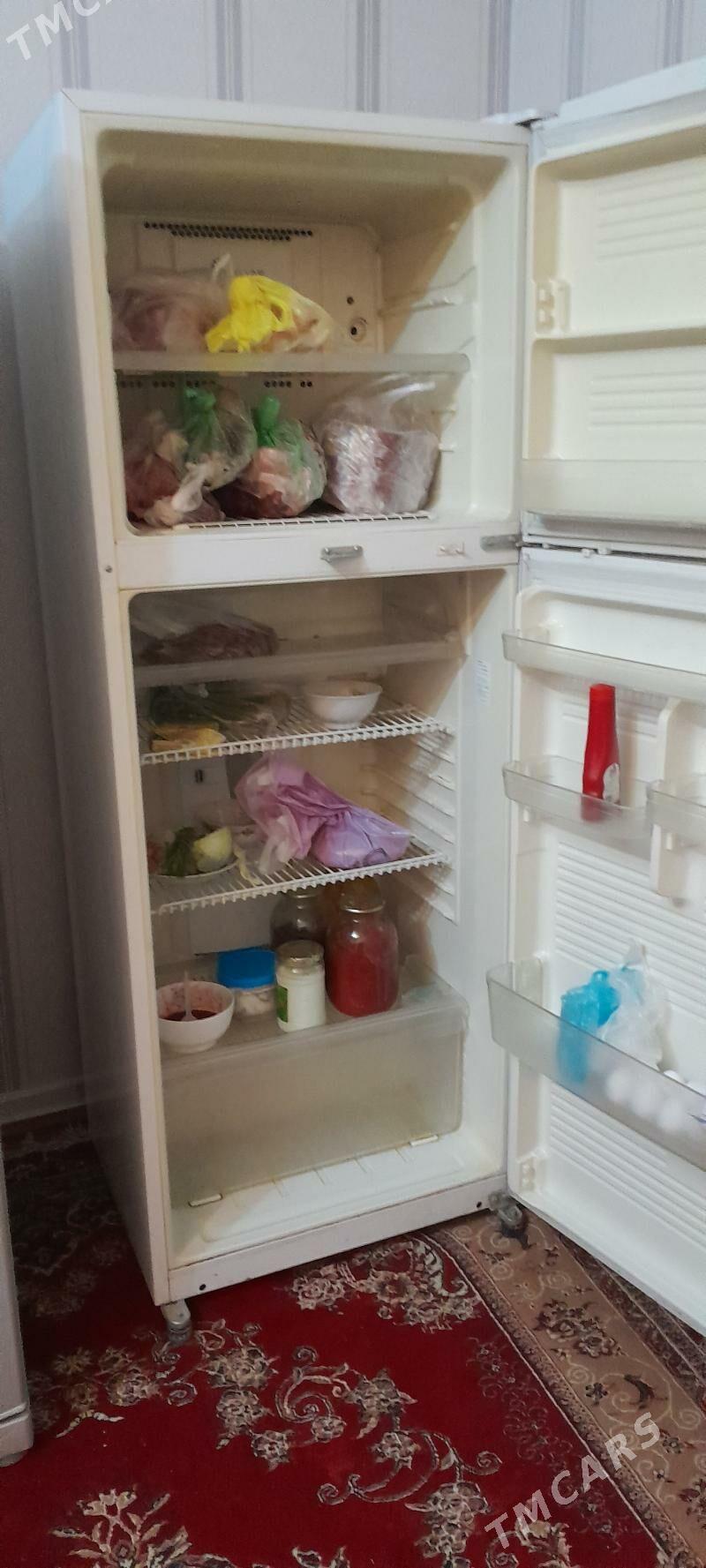 holadylnyk - Sakarçäge - img 1