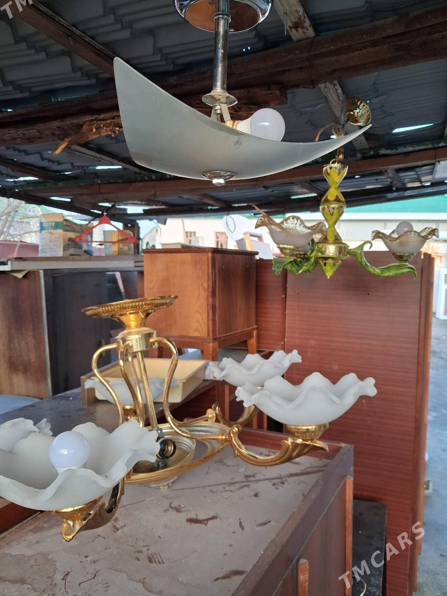 лустраларь раз - Garadamak - img 1