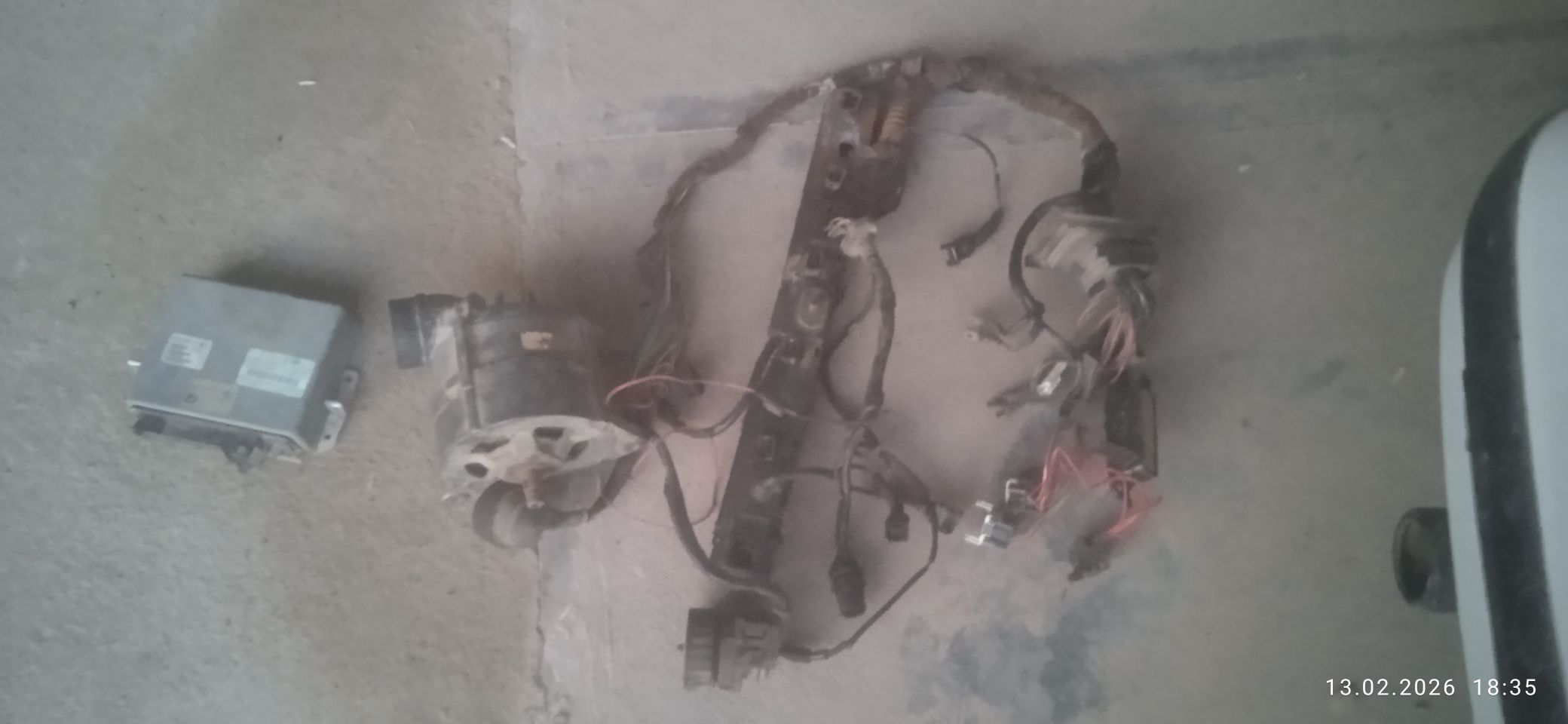 tok kamputur 1 200 TMT - Murgap - img 1