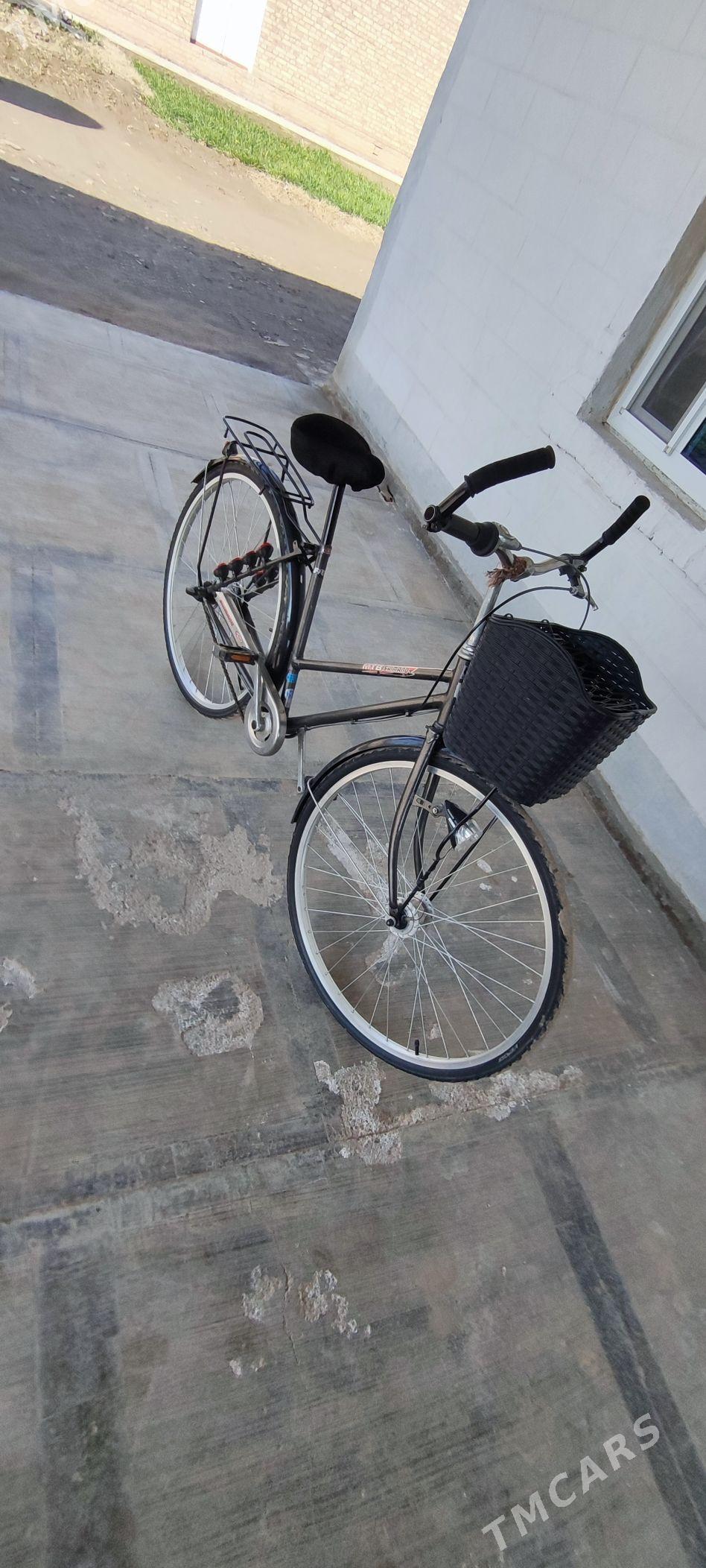 27lik - Сакарчага - img 1