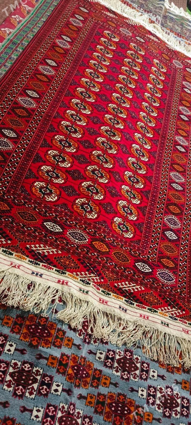 El Haly 1.40/2.40 - Бахарден - img 1