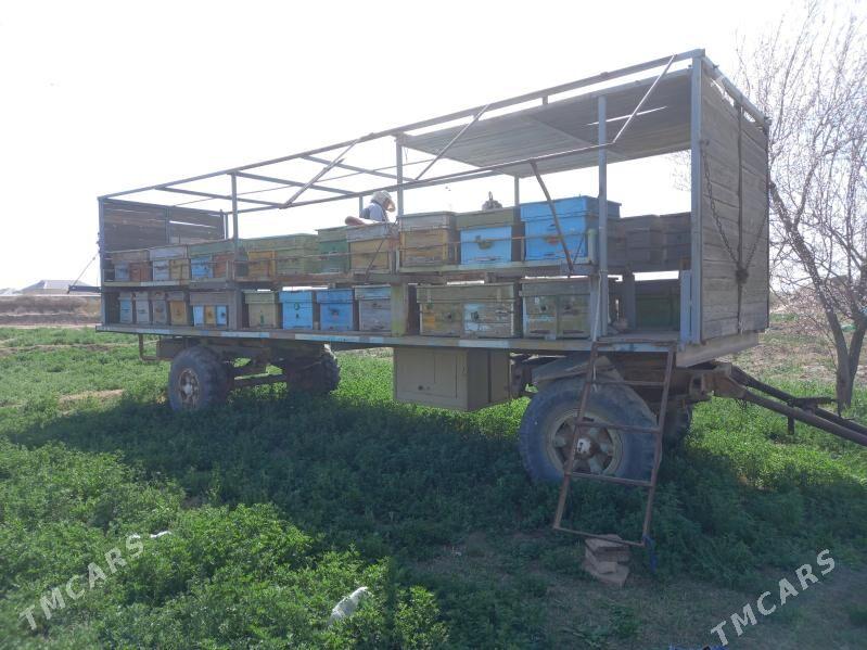 Ary prisep - Байрамали - img 1