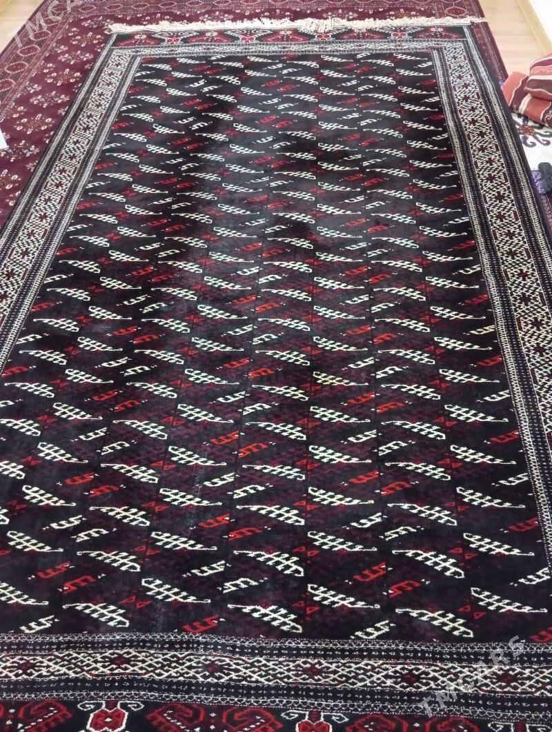 gara haly - Гумдаг - img 1