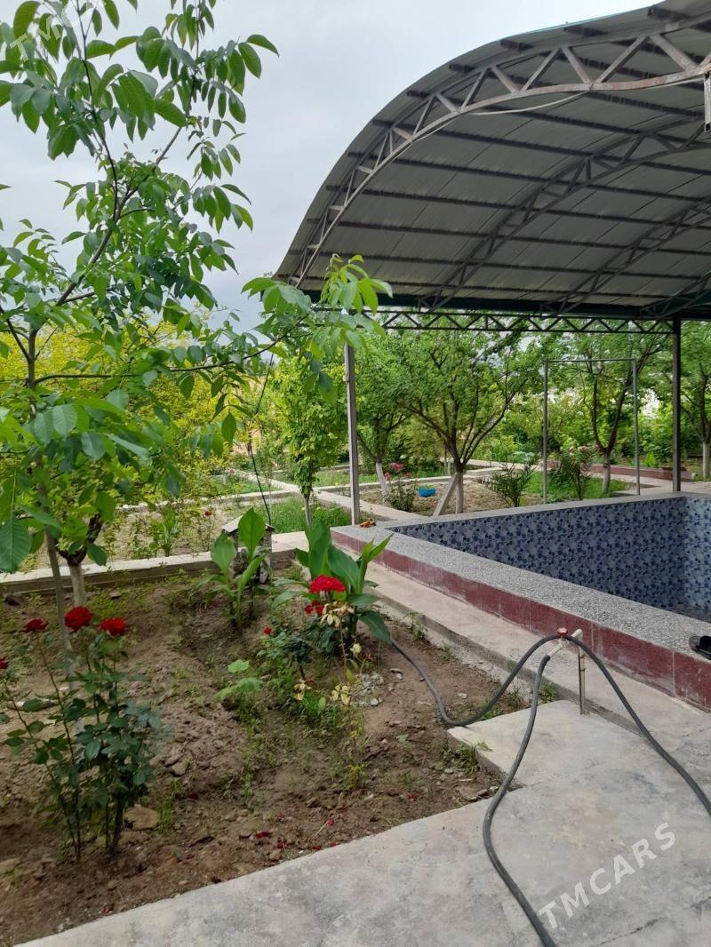 Bagyr Mirewe Jay - Bagyr - img 1